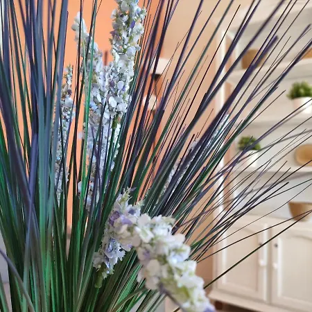 6 De Mayo Apartment Ronda